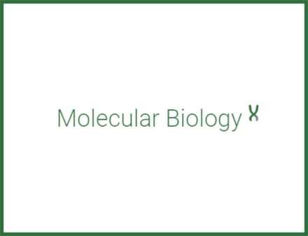 NZYTech Molecular Biology1.png